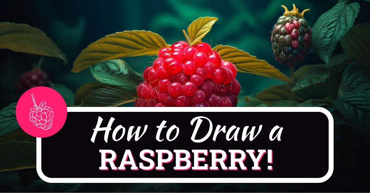 How To Draw A Raspberry Step By Step 10 Easy Steps!