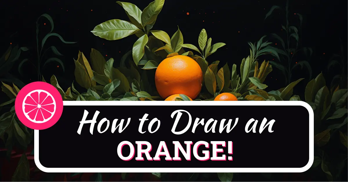 How To Draw An Orange Step By Step - 10 Easy Steps!